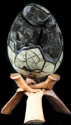 Septarian Dragon Egg Geode - Black Crystals #48005